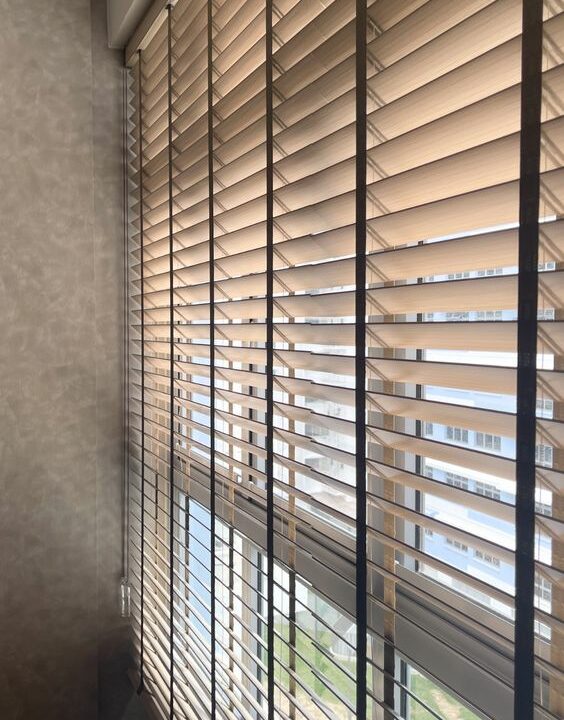 Venetian Blinds