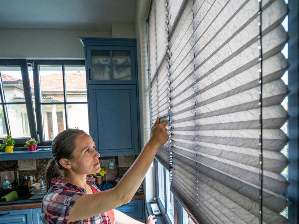 Window Shadings