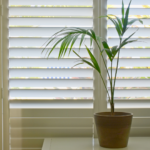 Plantation Shutters