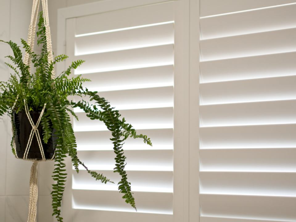 Plantation Shutters