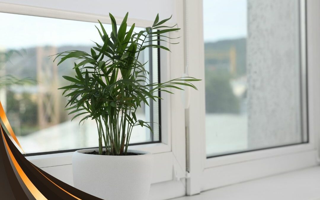 Window Shadings