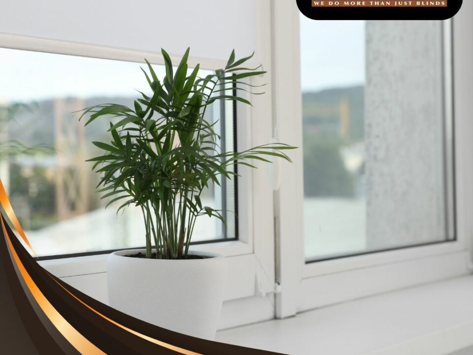 Window Shadings