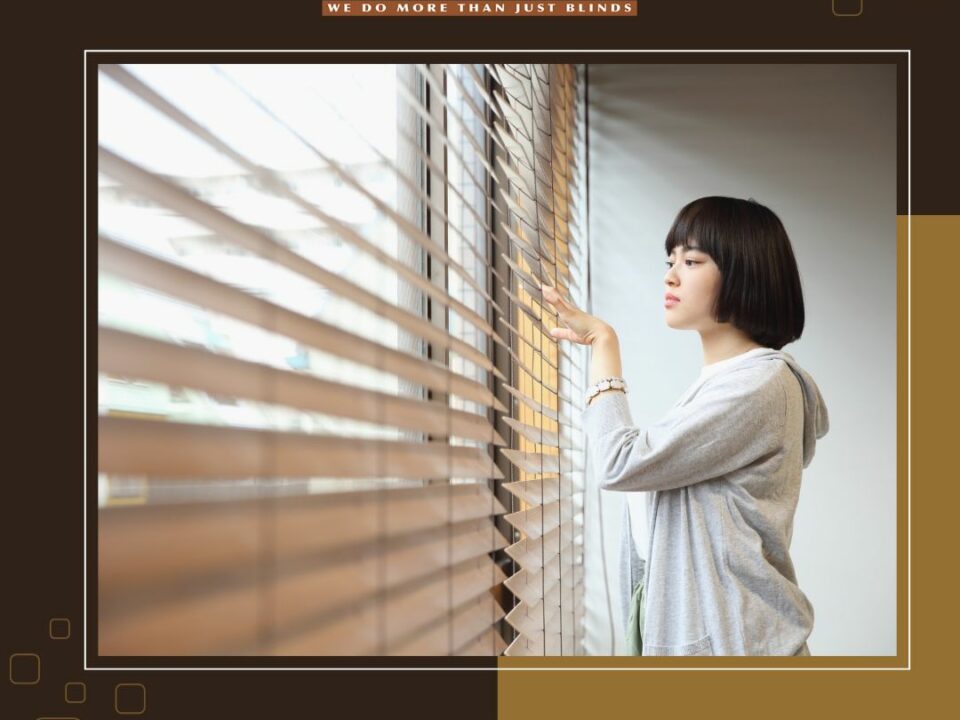 Vertical Blinds