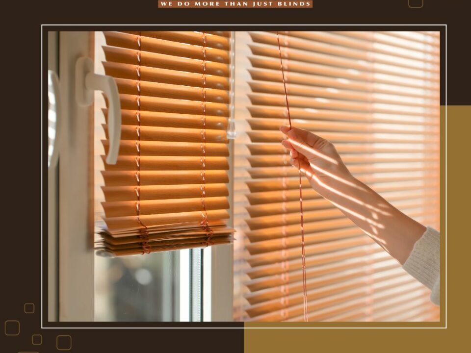 Vertical Blinds