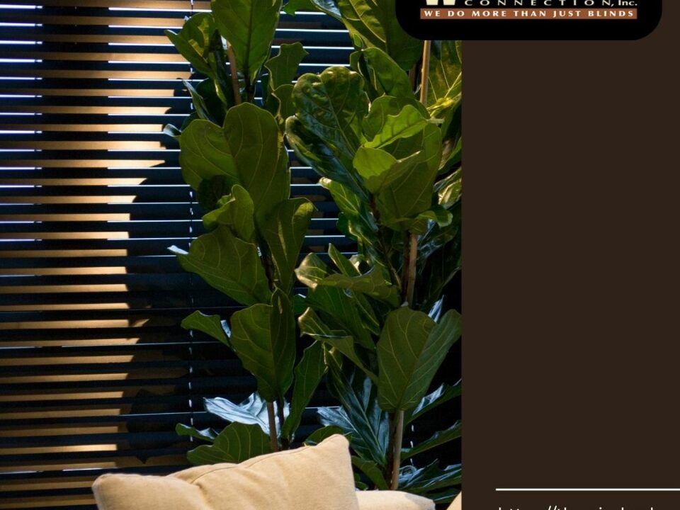 Wood & Faux Wood Blinds
