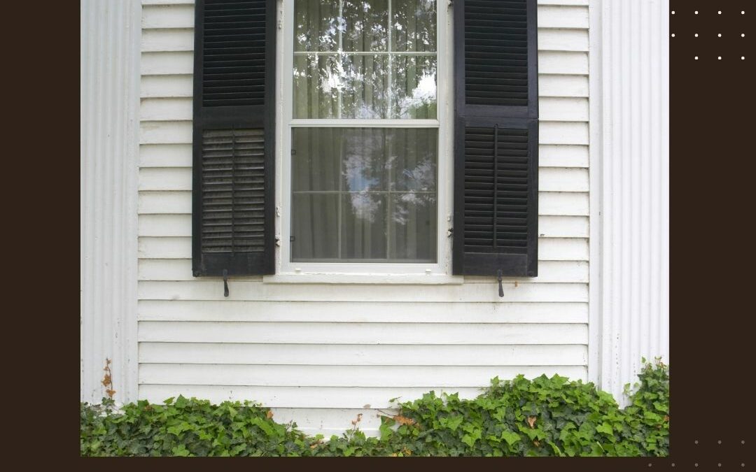 Custom Shutters