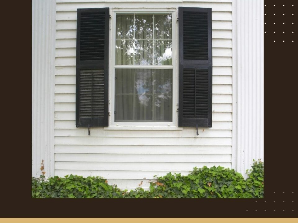Custom Shutters
