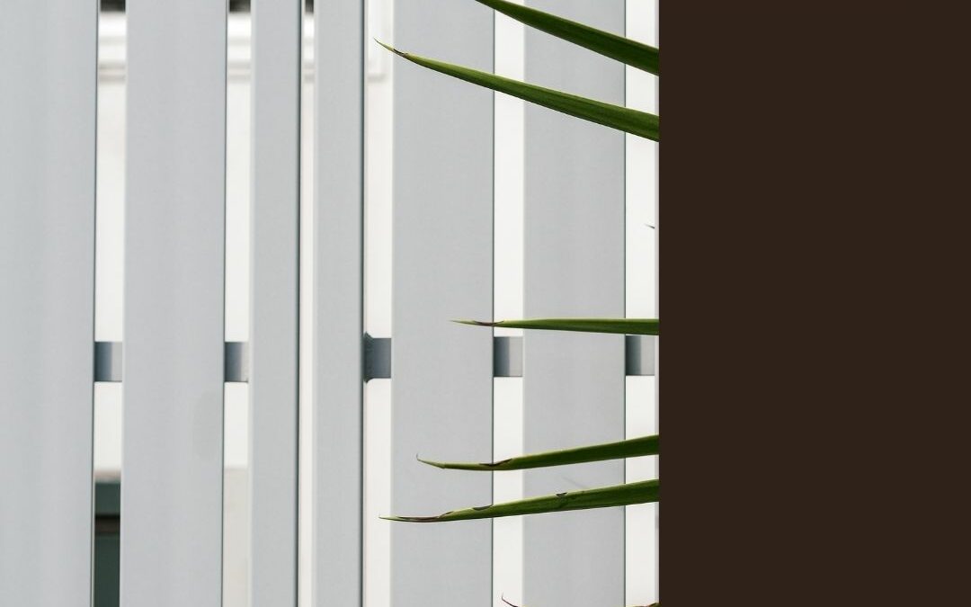 Vertical Blinds